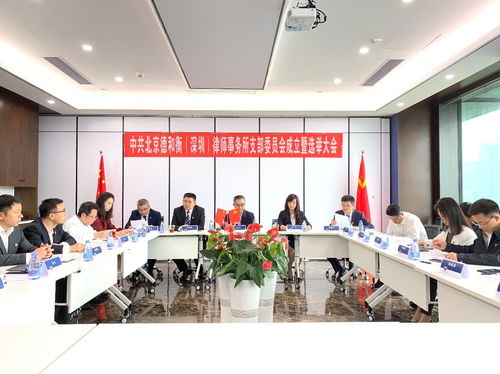 中共北京德和衡 深圳 律師事務所支部委員會成立暨選舉大會順利召開
