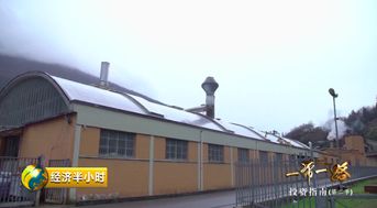 一座意大利小城,中國企業超過6500家 近乎 零增長 的gdp有救了