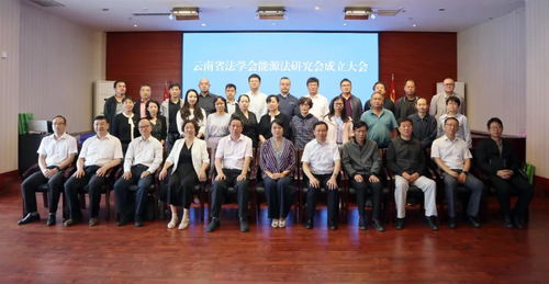 重慶坤源衡泰（昆明）律師事務所馬軍、師玥凌律師當選研究會理事
